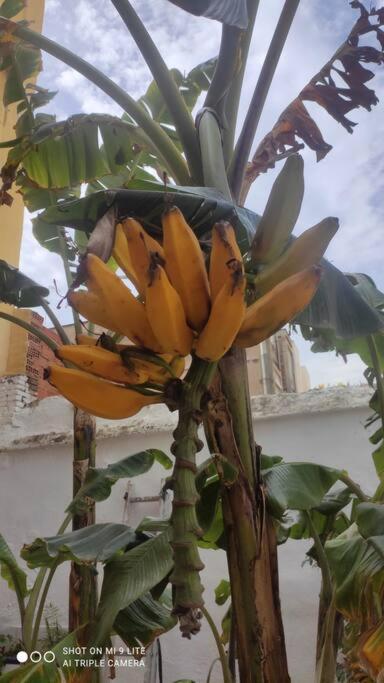 4 - Acogedora Habitacion Junto A Ruzafa Con Bano Privado Y Aire Acondicionado Valencia Ngoại thất bức ảnh